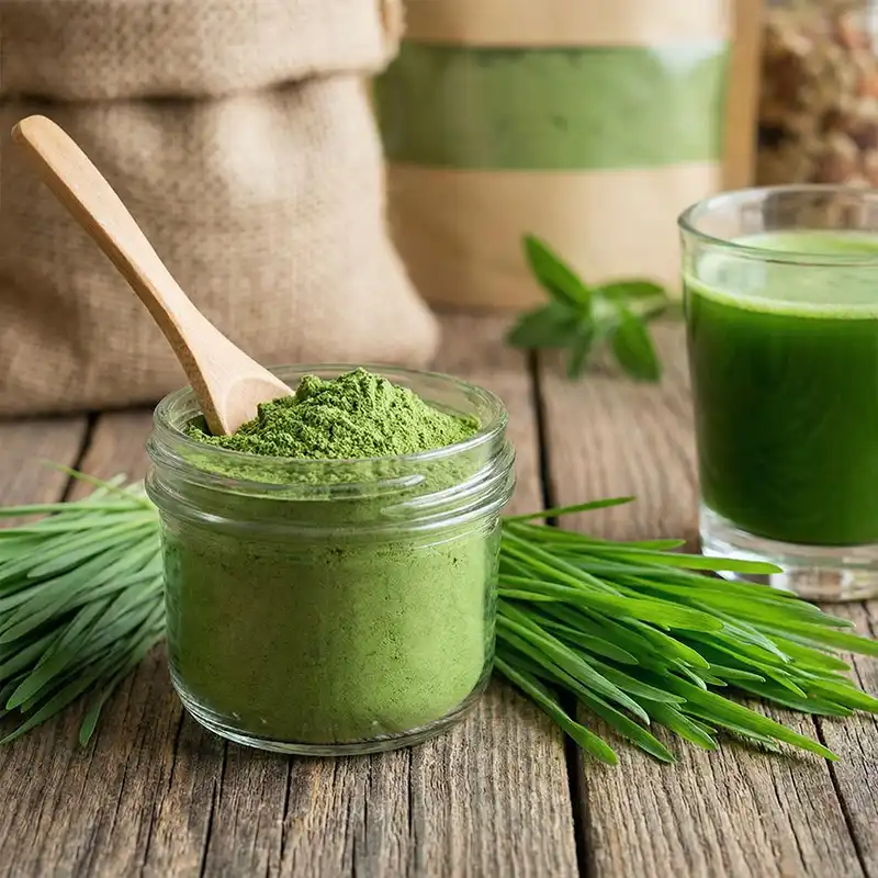 Wheatgrass Powder